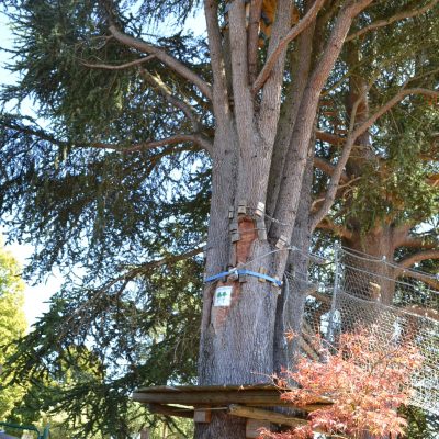 DSC_0157-rotated